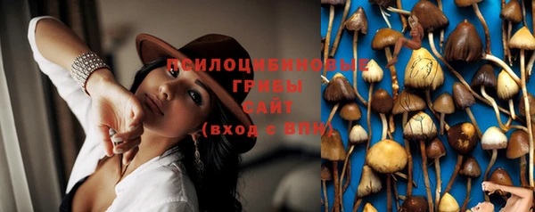 спайс Беломорск