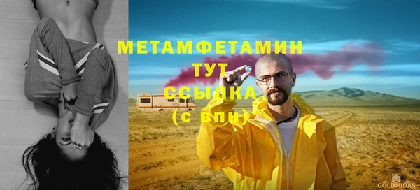 прущие грибы Белокуриха