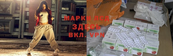 прущие грибы Белокуриха