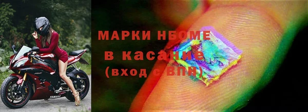 прущие грибы Белокуриха