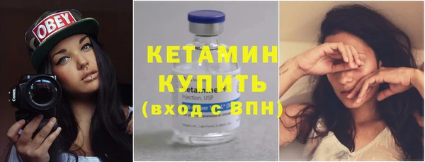прущие грибы Белокуриха