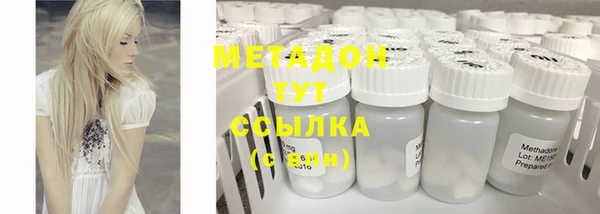 прущие грибы Белокуриха