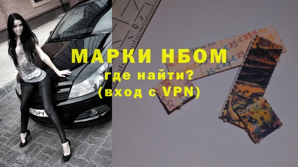 прущие грибы Белокуриха