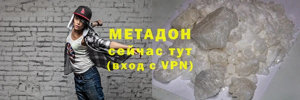 прущие грибы Белокуриха